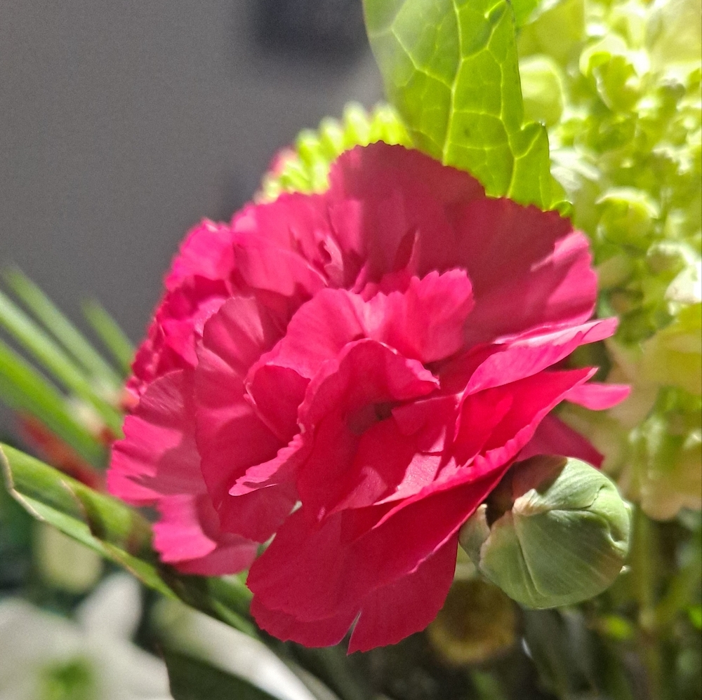 Unlisted live listing